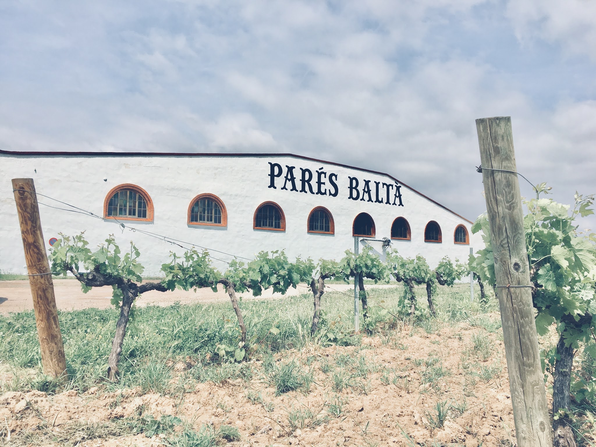 ESCAPADA ENOTURISMO D.O PENEDES